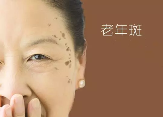 ç¥ææä¹é£ä¹é¾ è¦æä¹é¢é² å¿«ççè¿é